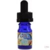 Buy mad hatter sour gummyworld online | Herbal Spice Shop